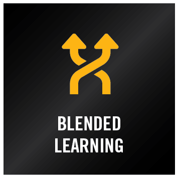 Blended Learning