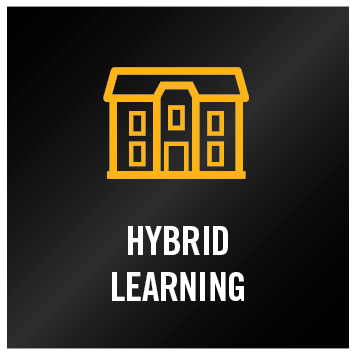 Hybrid Learning