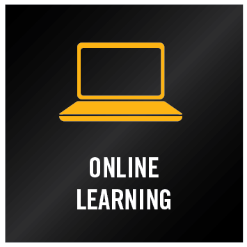 Online Learning